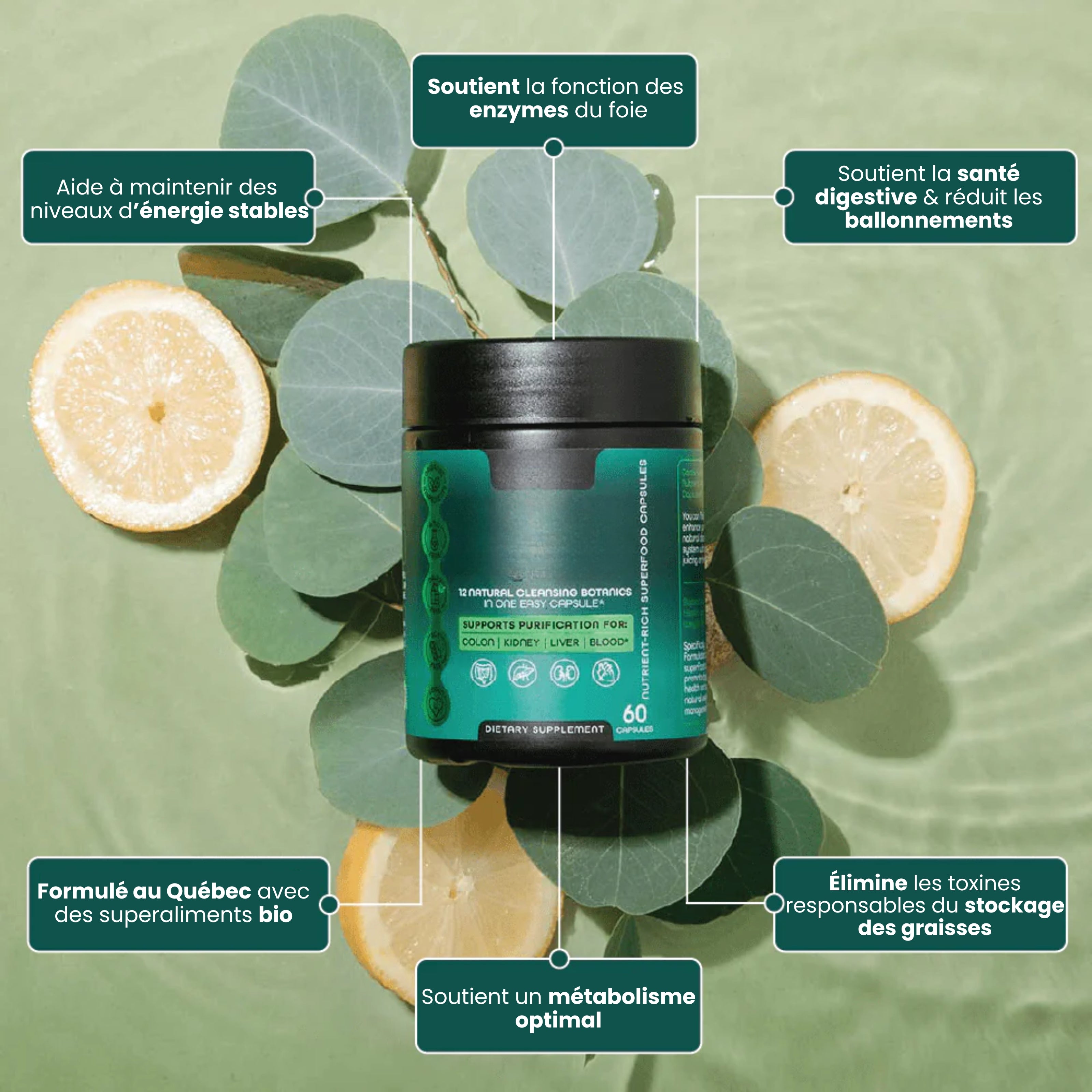 HerbaFluide – La formule naturelle #1 pour purifier et revitaliser le foie